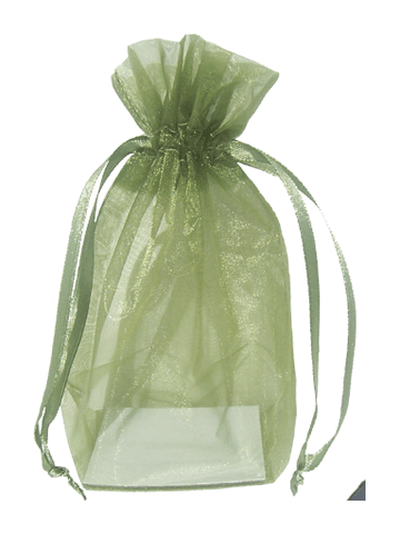 Green Organza / sheer gusseted gift bag. Size : 6? tall x 4.5? wide